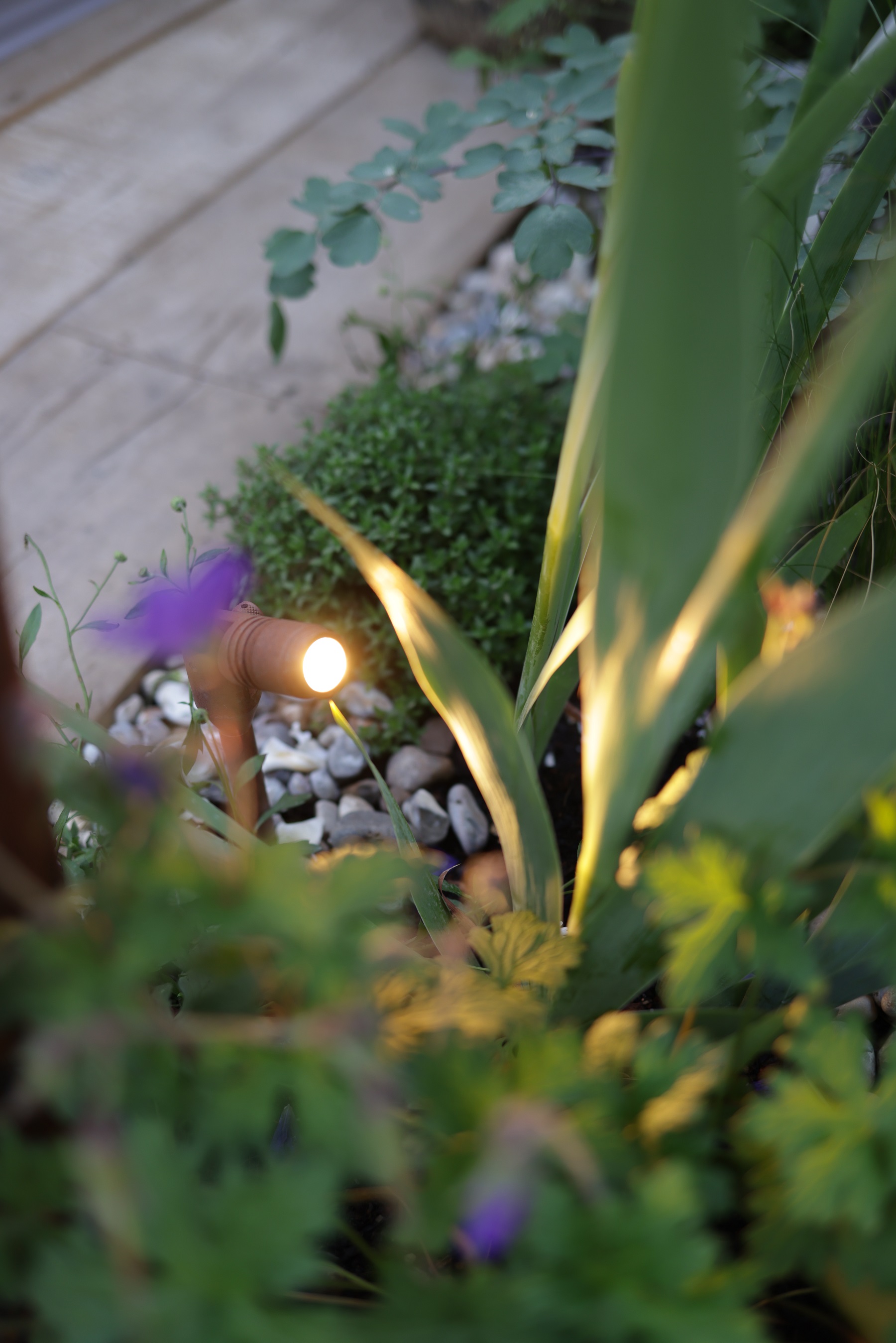 Rose hill luxury Gardens