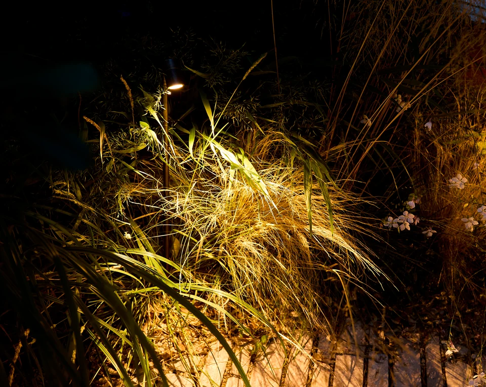 Planting washer light in situ — Planting