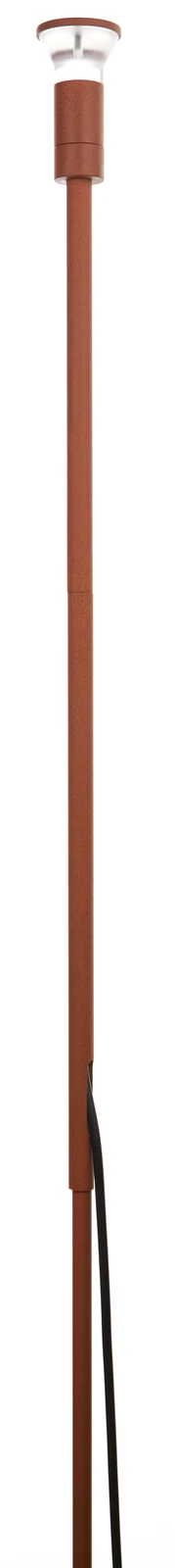 Pole light