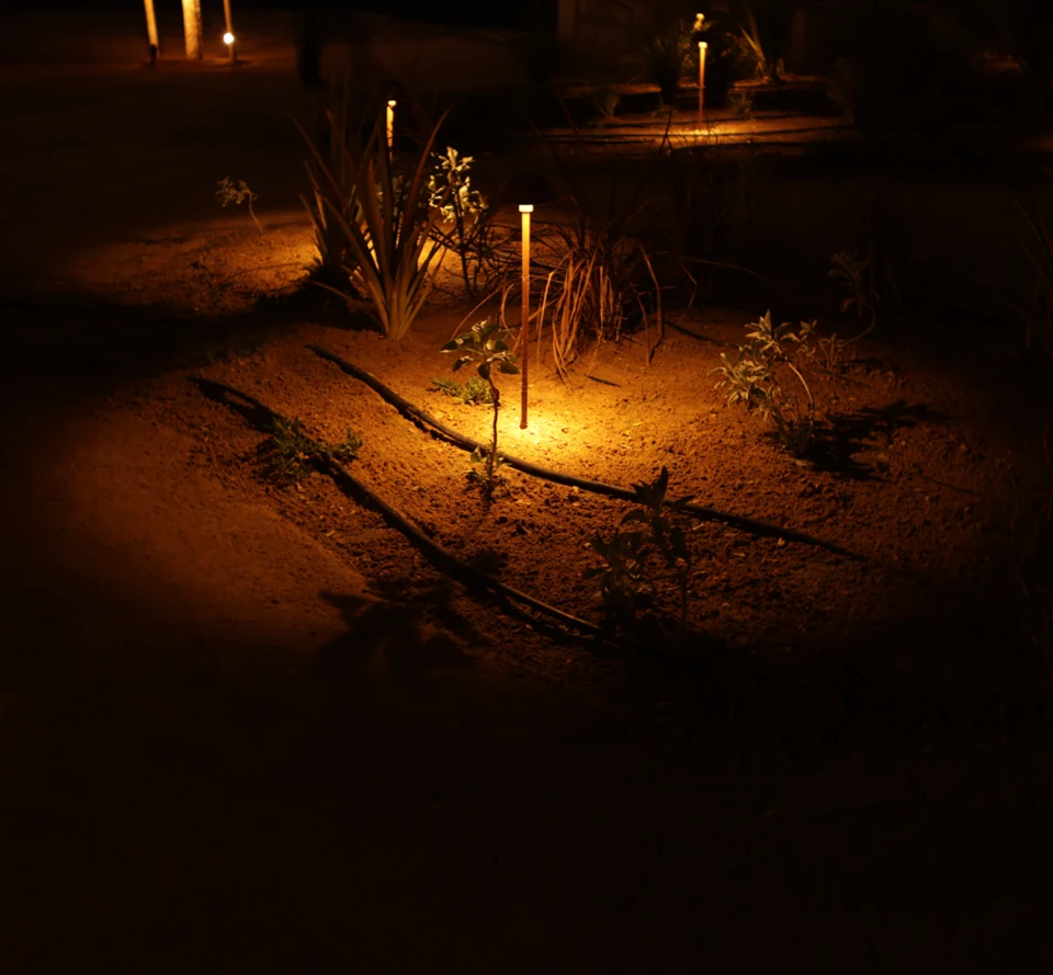 Planting light in situ — Paths