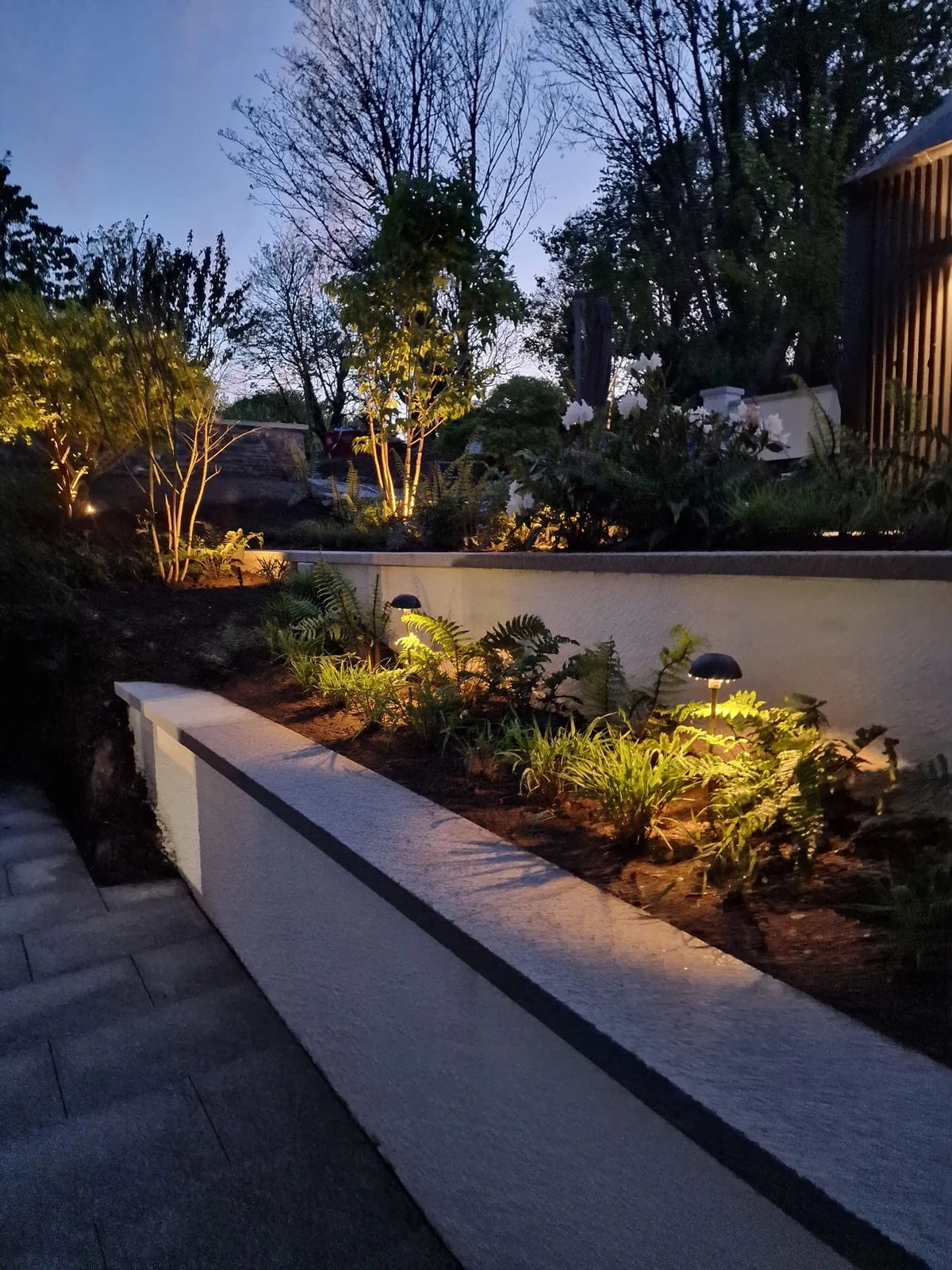 Contract Planting light in situ — Planting